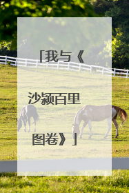 我与《沙颍百里图卷》
