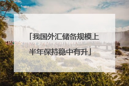 我国外汇储备规模上半年保持稳中有升