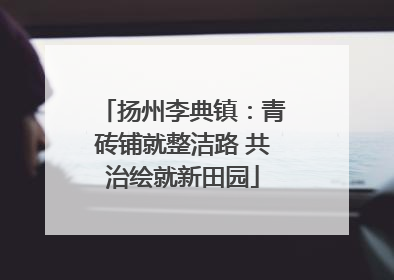 扬州李典镇：青砖铺就整洁路 共治绘就新田园