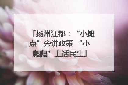 扬州江都：“小摊点”旁讲政策 “小爬爬”上话民生