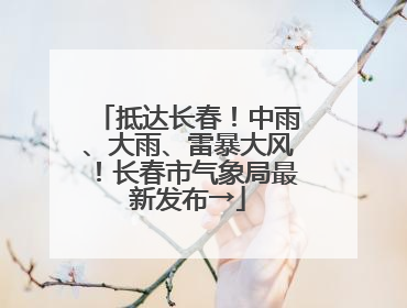 抵达长春！中雨、大雨、雷暴大风！长春市气象局最新发布→