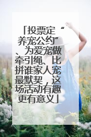 投票定“养宠公约”、为爱宠做牵引绳、比拼谁家人宠最默契，这场活动有趣更有意义