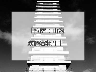 拉萨：山沟欢腾赛牦牛