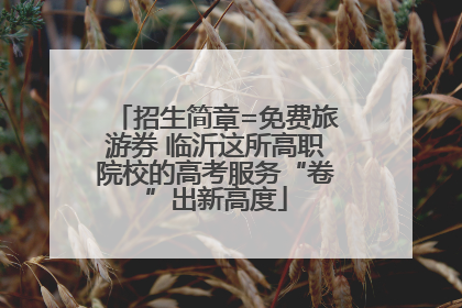 招生简章=免费旅游券 临沂这所高职院校的高考服务“卷”出新高度