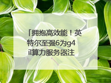 拥抱高效能！英特尔至强6为g4il算力服务器注入强大动力