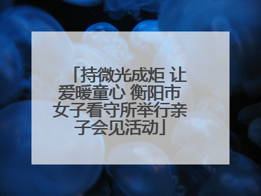 持微光成炬 让爱暖童心 衡阳市女子看守所举行亲子会见活动