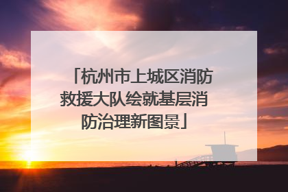 杭州市上城区消防救援大队绘就基层消防治理新图景