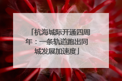 杭海城际开通四周年：一条轨道跑出同城发展加速度