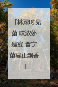 林深时见菌 味浓处是宴 晋宁菌宴正飘香