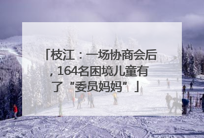 枝江：一场协商会后，164名困境儿童有了“委员妈妈”