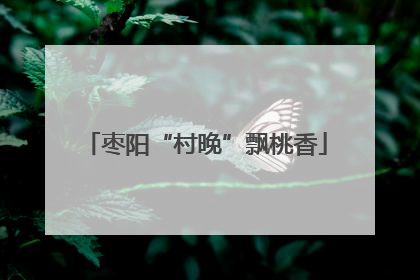 枣阳“村晚”飘桃香