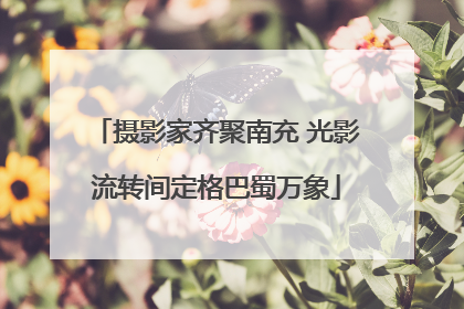 摄影家齐聚南充 光影流转间定格巴蜀万象