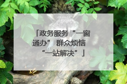 政务服务“一窗通办” 群众烦恼“一站解决”