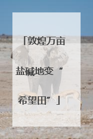 敦煌万亩盐碱地变“希望田”