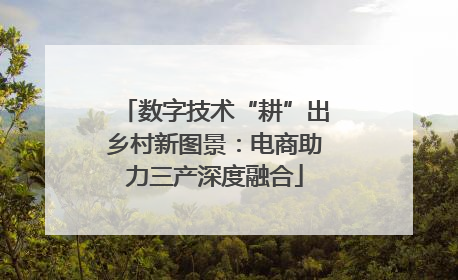 数字技术“耕”出乡村新图景：电商助力三产深度融合