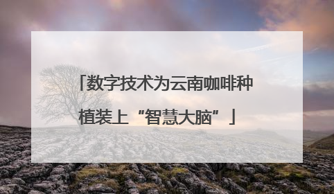 数字技术为云南咖啡种植装上“智慧大脑”