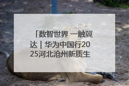 数智世界 一触冀达｜华为中国行2025河北沧州新质生产力峰会成功举办