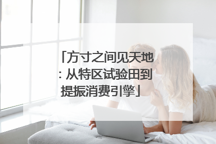 方寸之间见天地：从特区试验田到提振消费引擎
