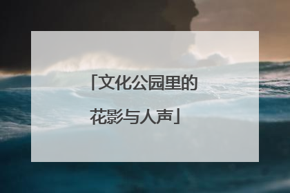 文化公园里的花影与人声
