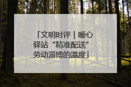 文明时评｜暖心驿站“精准配送”劳动淄博的温度