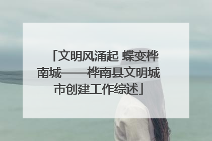 文明风涌起 蝶变桦南城——桦南县文明城市创建工作综述