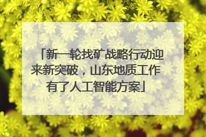 新一轮找矿战略行动迎来新突破，山东地质工作有了人工智能方案
