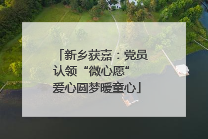 新乡获嘉：党员认领“微心愿” 爱心圆梦暖童心