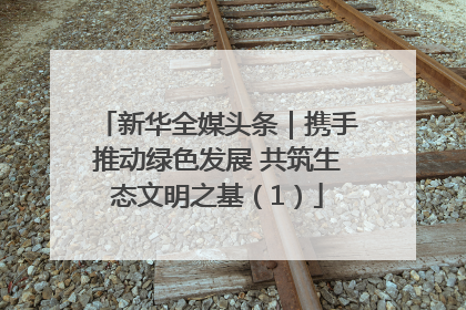 新华全媒头条｜携手推动绿色发展 共筑生态文明之基（1）