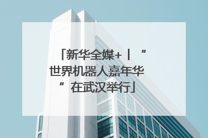 新华全媒+丨“世界机器人嘉年华”在武汉举行
