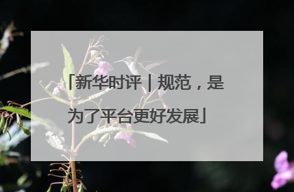 新华时评｜规范，是为了平台更好发展