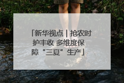 新华视点｜抢农时 护丰收 多维度保障“三夏”生产