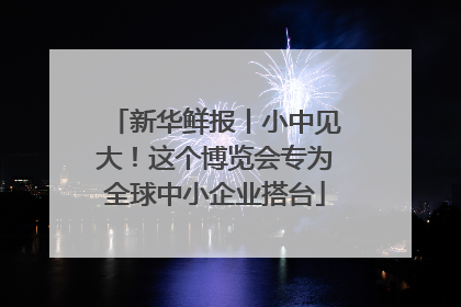 新华鲜报丨小中见大！这个博览会专为全球中小企业搭台
