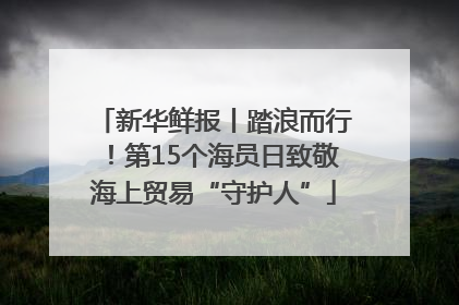新华鲜报丨踏浪而行！第15个海员日致敬海上贸易“守护人”