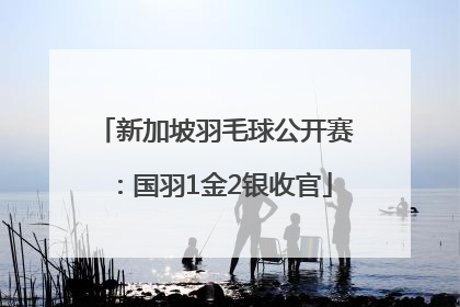 新加坡羽毛球公开赛：国羽1金2银收官