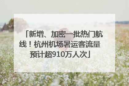 新增、加密一批热门航线！杭州机场暑运客流量预计超910万人次