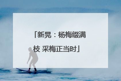 新晃：杨梅缀满枝 采梅正当时