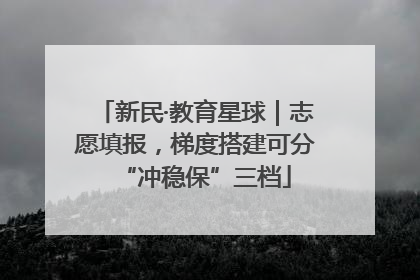 新民·教育星球｜志愿填报，梯度搭建可分“冲稳保”三档