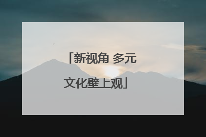 新视角 多元文化壁上观