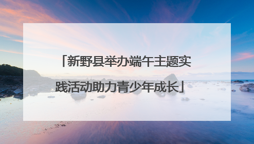 新野县举办端午主题实践活动助力青少年成长