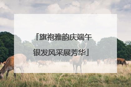 旗袍雅韵庆端午 银发风采展芳华