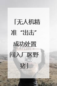 无人机精准“出击” 成功处置闯入厂区野猪