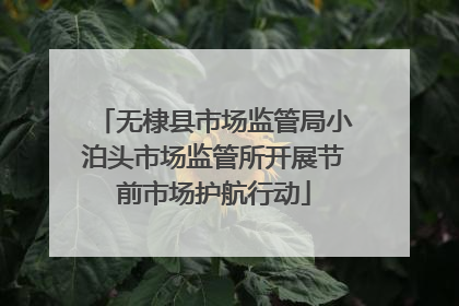 无棣县市场监管局小泊头市场监管所开展节前市场护航行动