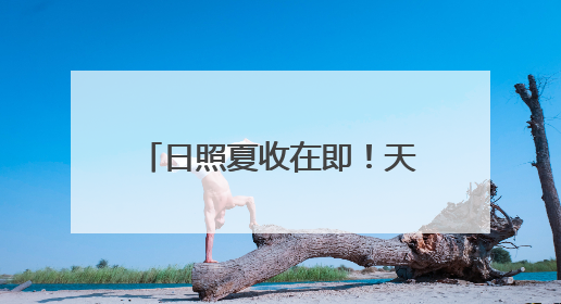 日照夏收在即！天气影响几何？气象台权威解读来了