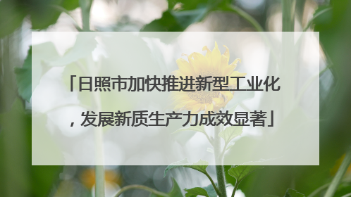 日照市加快推进新型工业化，发展新质生产力成效显著