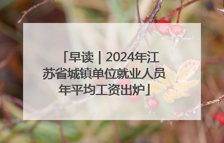 早读｜2024年江苏省城镇单位就业人员年平均工资出炉
