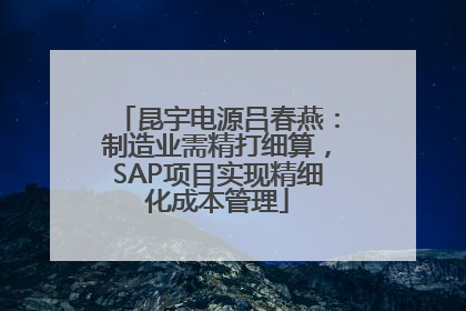 昆宇电源吕春燕：制造业需精打细算，SAP项目实现精细化成本管理
