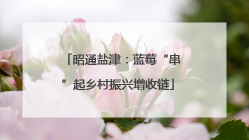 昭通盐津：蓝莓“串”起乡村振兴增收链