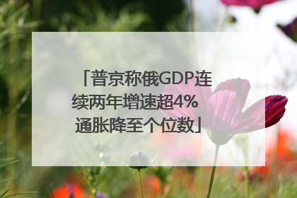 普京称俄GDP连续两年增速超4% 通胀降至个位数