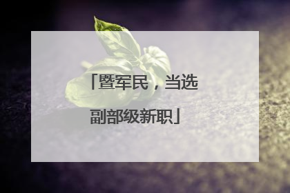 暨军民，当选副部级新职