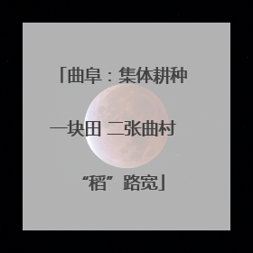 曲阜：集体耕种一块田 二张曲村“稻”路宽